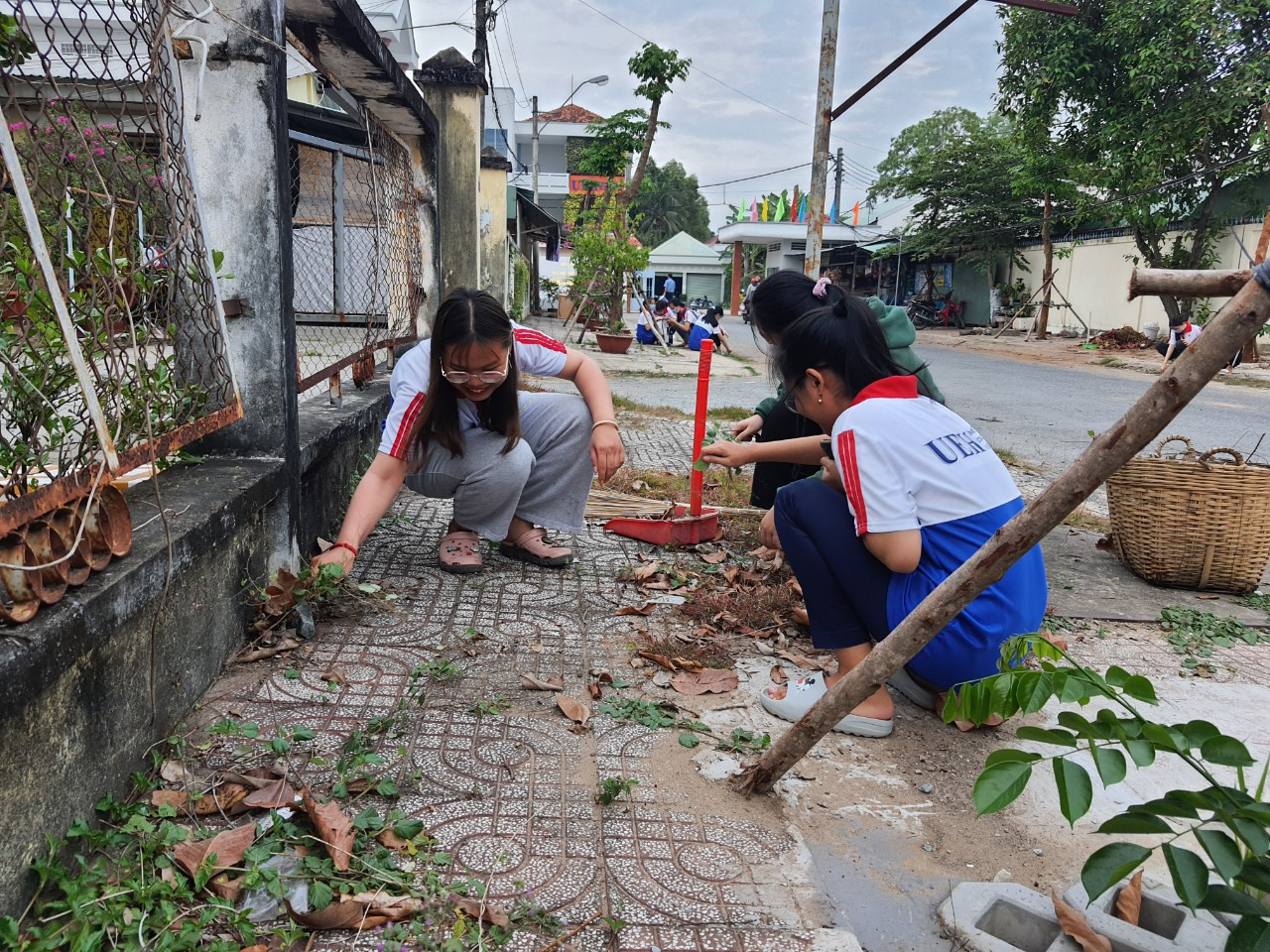 cá cược thể thao hul city